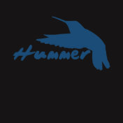 Funny Hummer Hummingbird