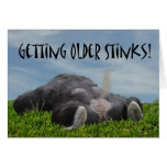 Funny Humorous Getting Older Monkey Happy Birthday Cards