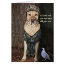 Funny Hunting Lab Birthday cards