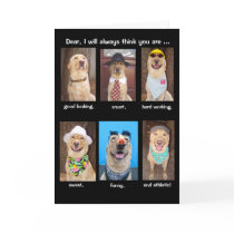 Funny Husband Birthday Greeting Card