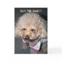 Funny I Birthday Card by justdahl Funny I Birthday Card