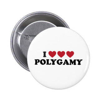 funny_i_heart_polygamy_pinback_button-r90e5b4c944364570a16a233eaf3e8717_x7j3i_8byvr_324.jpg