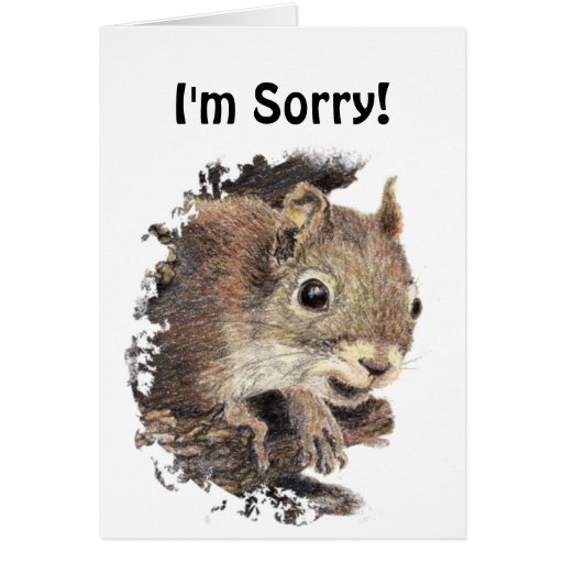 funny_im_sorry_forgive_me_with_cute_squirrel_card-r5391f8e92d174a4aa39125842111d05d_xvuat_8byvr_512.jpg