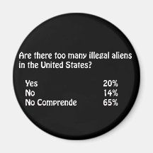 Funny Immigration Question/Answer Fridge Magnet