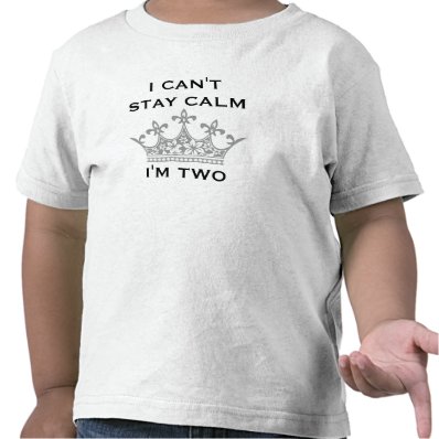 Funny Kid&#39;s 2nd Birthday I Can&#39;t Stay Calm I&#39;m Two Tees