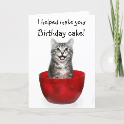 funny kitten birthday
