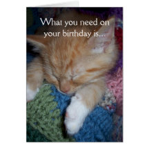 Funny Kitten Birthday Greeting Card
