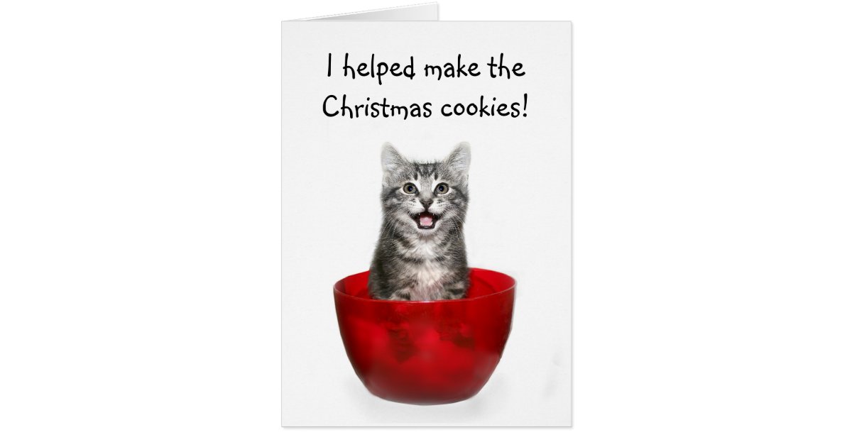 Funny kitten Christmas card | Zazzle