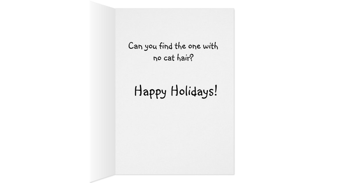 Funny kitten Christmas card Zazzle