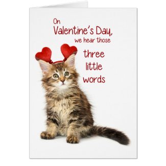 Funny Kitten Valentine Greeting Card