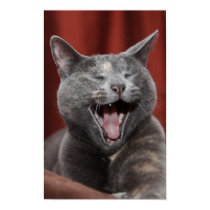 Funny kitty posters by iiiyaaa Funny kitty posters