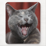 Funny kitty - Ready to eat the mouse! mousepads
