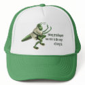 Funny Kung Fu Grasshopper hats
