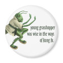 Funny Kung Fu Grasshopper magnets