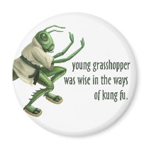 Funny Kung Fu Grasshopper magnets