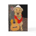 Funny Lab/Country Music Valentine cards