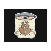 funny lab rats postcards by doonidesignsanimals funny lab rats postcards
