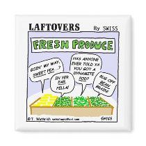 Funny Laftovers Veggie Lover Cartoon Fridge magnets