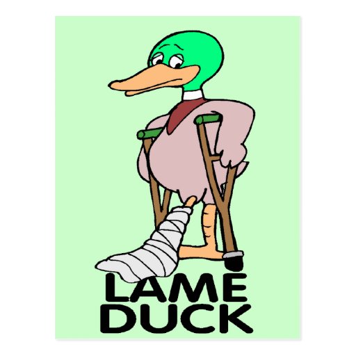 lame duck shirt