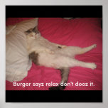 Funny lazy cat! posters
