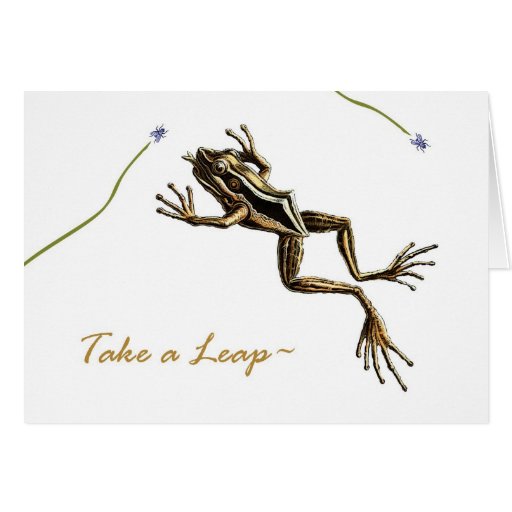 Funny Leap Year Birthday Vintage Frog Greeting Card Zazzle 