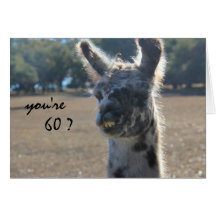 Funny Llama Birthday, 60th, Over the Hill Greeting Card