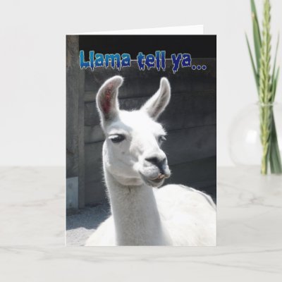 Funny Llama Happy Birthday Greeting Card from Zazzle.co