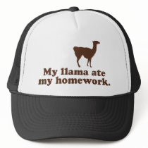 Funny Llama hats