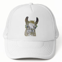 Funny Llama hats