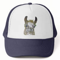 Funny Llama hats