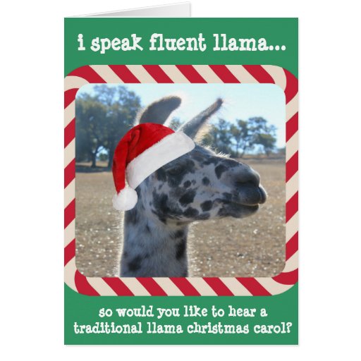 Funny Llama Xmas Card Tis the Season to be Jolllly | Zazzle