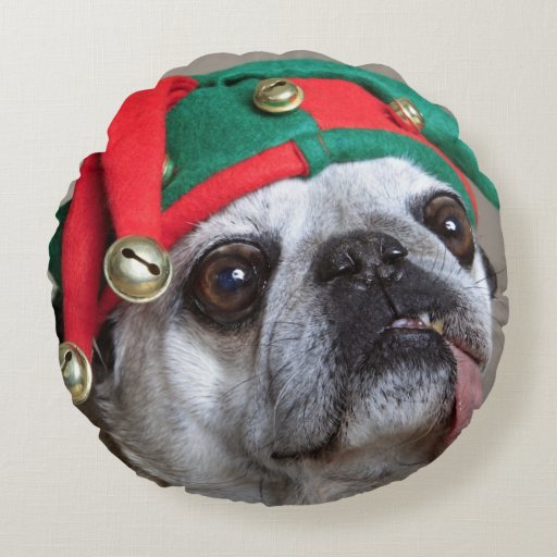 pug with tongue hanging out looking pug with tongue hanging out pillow zazzle pug with tongue hanging out looking pug with tongue hanging out pillow zazzle