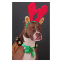 Funny looking reindeer stationery