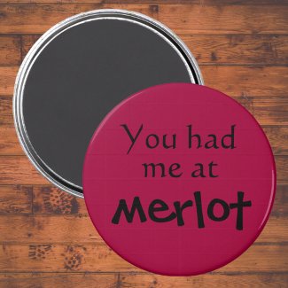 Funny magnets unique birthday gifts joke gift idea magnet