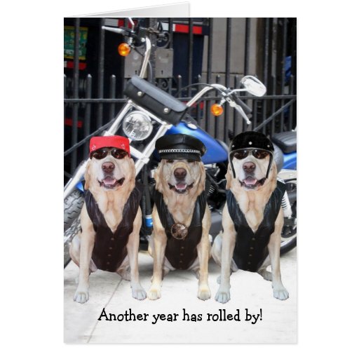 Funny Male Biker Lab Greeting Cards