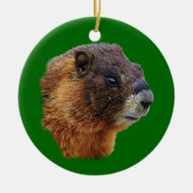 funny marmot christmas tree ornament