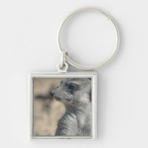 Funny Meerkat Key Chains