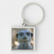 Funny Meerkat Key Chains