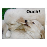 Funny Miss You Puppy Greeting Card