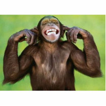 funny_monkey - Customized photo sculptures by miniteddy999 funny_monkey - Customized photo sculptures
