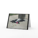 Funny Monkey Greeting Card by topchef33 Funny Monkey Greeting Card
