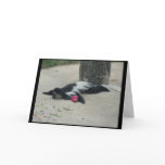 Funny Monkey Greeting Card