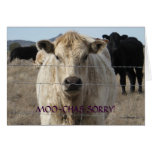 Funny Moo Black White Cow Apology - Ranch or Farm Greeting Cards