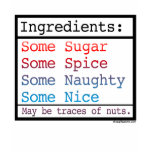 Funny Naughty and Nice T-shirt