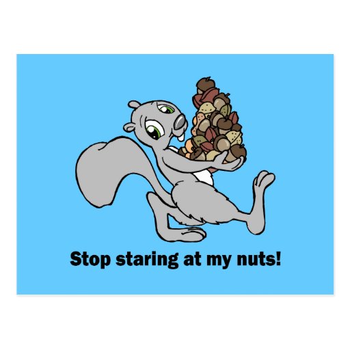 Funny nuts squirrel postcards Zazzle