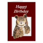 Funny Old Age, Over the Hill Birthday Owl Greeting Cards