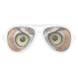 Funny Owl eye sunglasses