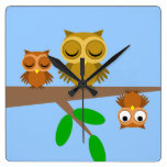funny owls square wall clock