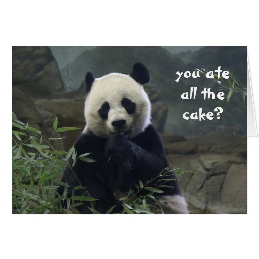 funny_panda_birthday_no_cake_bamboozled_card ...