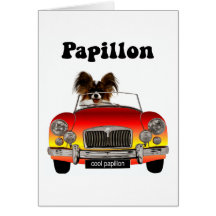 Funny Papillon Cards